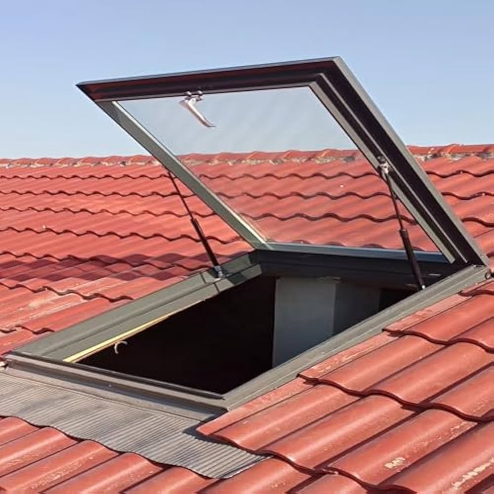 Roof Windows